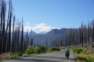 Auf und ab durch Wälder und berge week 2 (c) pacific voices (69)